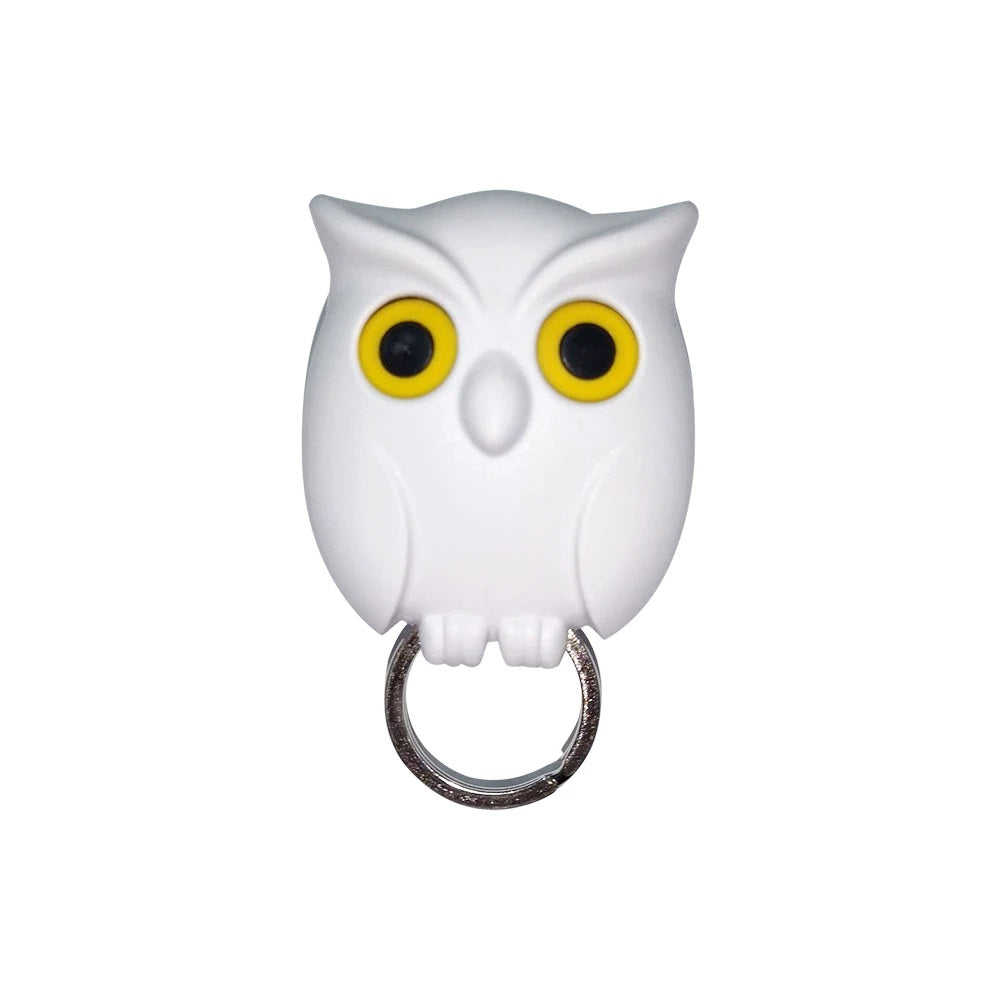 Owl Eyes Magnetic Key Holder Your Whimsical Key Organizer