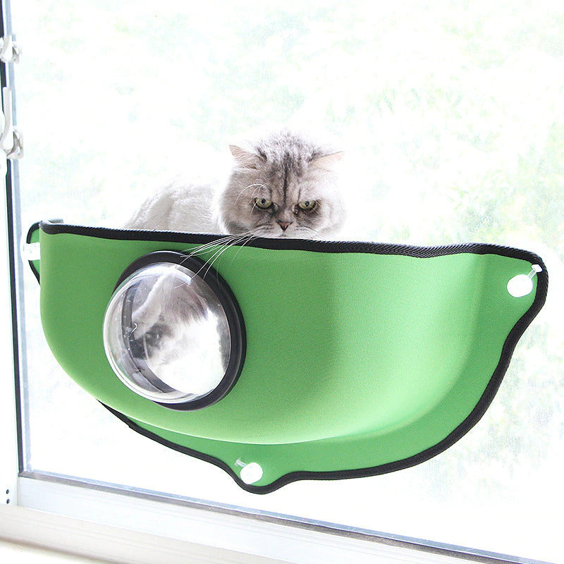 Cat hammock for windows