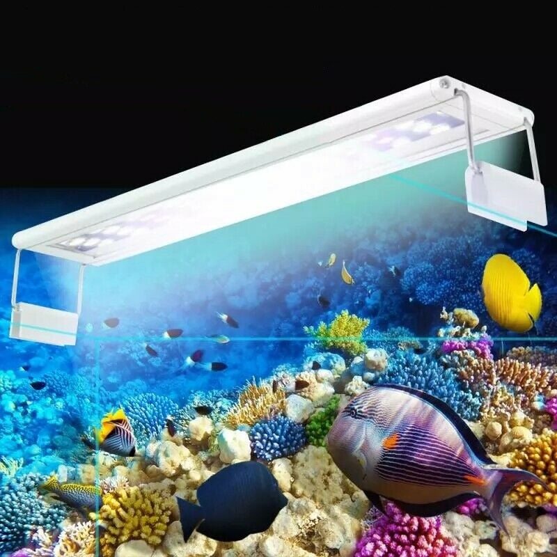 led aquarium